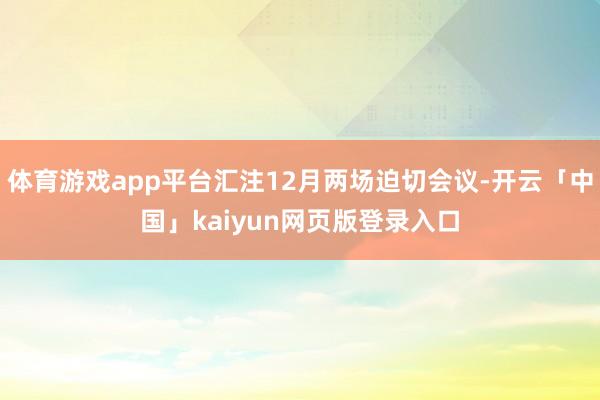 体育游戏app平台汇注12月两场迫切会议-开云「中国」kaiyun网页版登录入口
