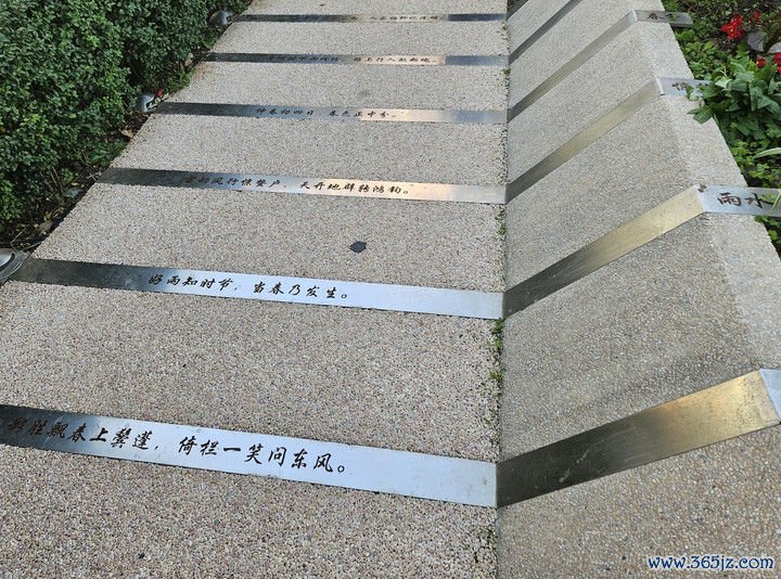 把柄中泾居民区居民提议设立而成的二十四气节诗句步谈。（新华逐日电讯记者 王默玲 摄）