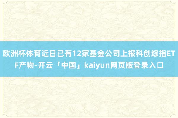 欧洲杯体育近日已有12家基金公司上报科创综指ETF产物-开云「中国」kaiyun网页版登录入口