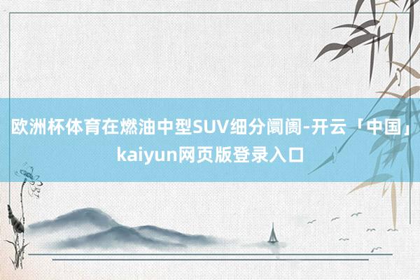 欧洲杯体育在燃油中型SUV细分阛阓-开云「中国」kaiyun网页版登录入口