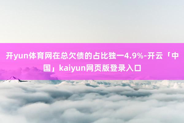 开yun体育网在总欠债的占比独一4.9%-开云「中国」kaiyun网页版登录入口