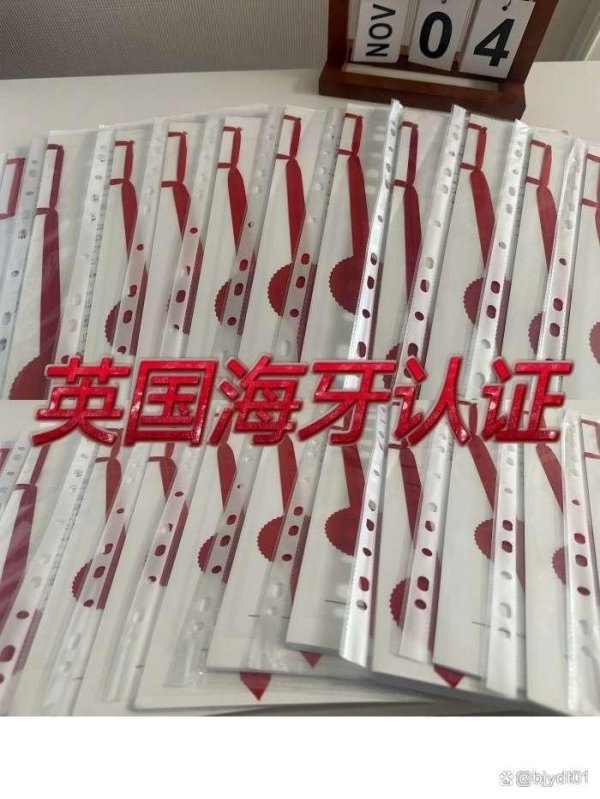 体育游戏app平台英国文献海牙认证所需材料办理英国文献的海牙认证-开云「中国」kaiyun网页版登录入口
