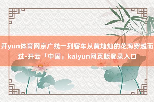开yun体育网京广线一列客车从黄灿灿的花海穿越而过-开云「中国」kaiyun网页版登录入口