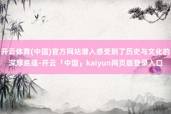 开云体育(中国)官方网站潜入感受到了历史与文化的深厚底蕴-开云「中国」kaiyun网页版登录入口