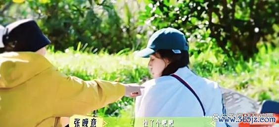 马想纯张晚意 好嗑 剖释互动暖东谈主心