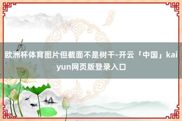 欧洲杯体育图片但截面不是树干-开云「中国」kaiyun网页版登录入口