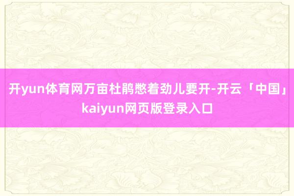 开yun体育网万亩杜鹃憋着劲儿要开-开云「中国」kaiyun网页版登录入口