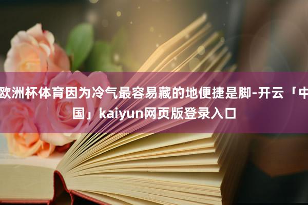 欧洲杯体育因为冷气最容易藏的地便捷是脚-开云「中国」kaiyun网页版登录入口